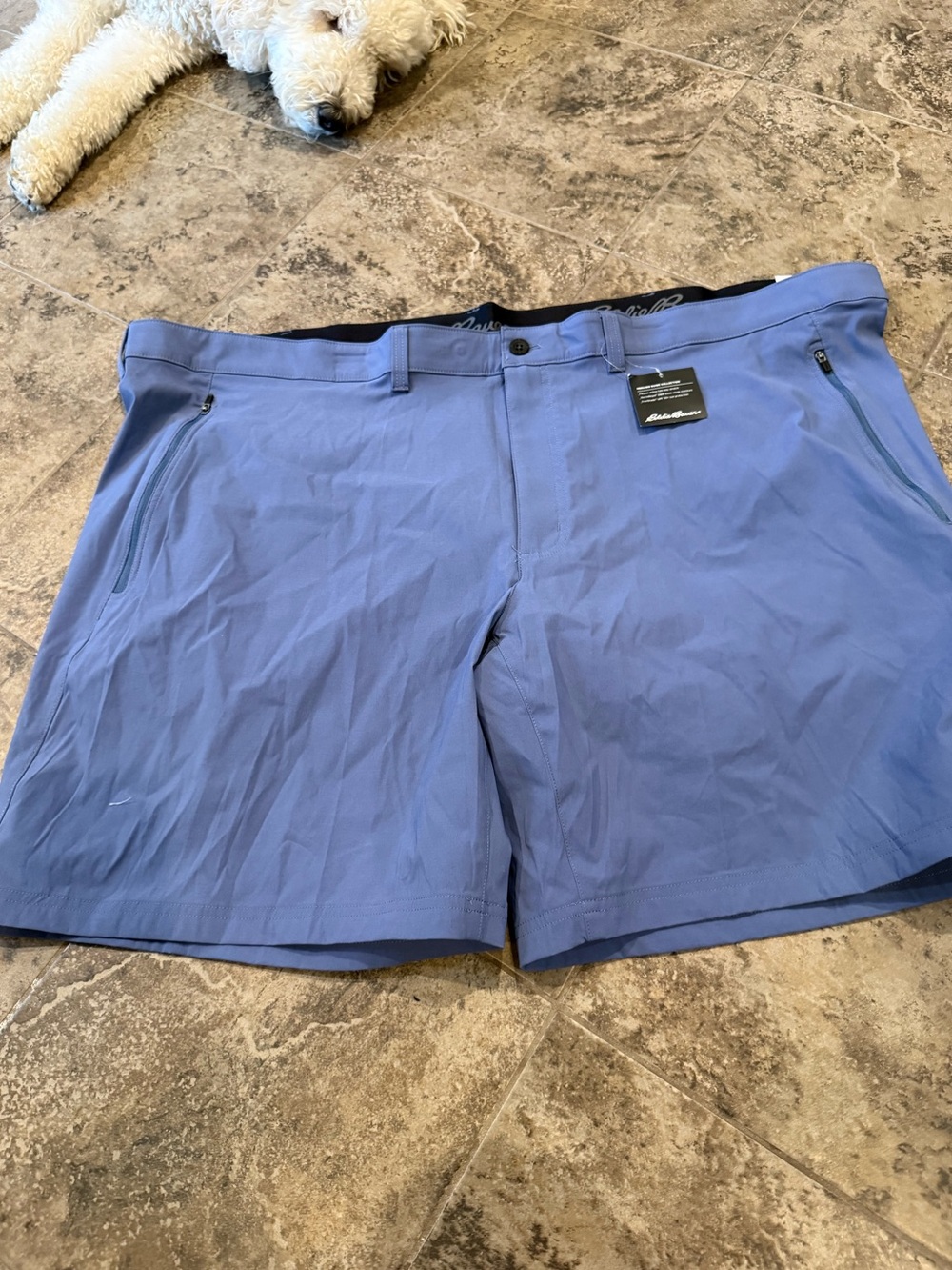 🩵Men's tall Eddie Bauer Performance Shorts in Light Blue